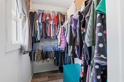 46 Saddlemont Way Ne, Calgary, AB - Indoor With Storage