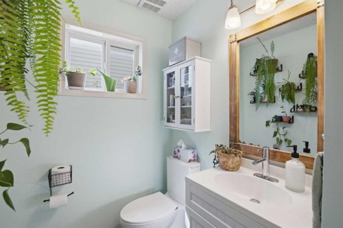 46 Saddlemont Way Ne, Calgary, AB - Indoor Photo Showing Bathroom