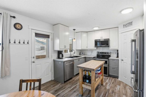 46 Saddlemont Way Ne, Calgary, AB - Indoor Photo Showing Kitchen