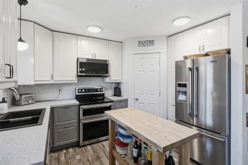 46 Saddlemont Way Ne, Calgary, AB - Indoor Photo Showing Kitchen With Double Sink