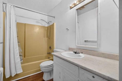 900 Abbeydale Drive Ne, Calgary, AB - Indoor Photo Showing Bathroom