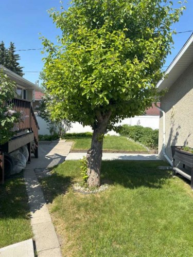 4928 40 Avenue Nw, Calgary, AB - Outdoor