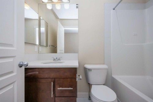 211 Mckenzie Towne Square Se, Calgary, AB - Indoor Photo Showing Bathroom