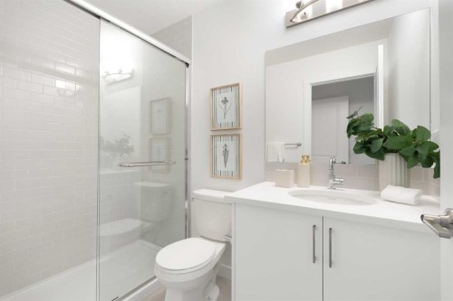 304-255 Rowmont Boulevard Nw, Calgary, AB - Indoor Photo Showing Bathroom