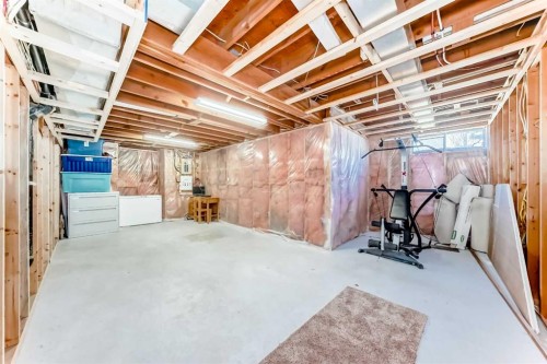 127 Mckerrell Way Se, Calgary, AB - Indoor Photo Showing Basement