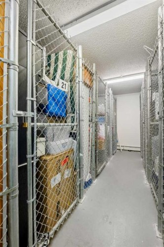 1208 Millrise Point Sw, Calgary, AB - Indoor With Storage