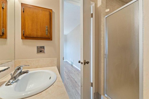 7003 Temple Drive Ne, Calgary, AB - Indoor Photo Showing Bathroom