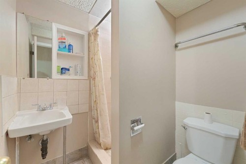 7003 Temple Drive Ne, Calgary, AB - Indoor Photo Showing Bathroom