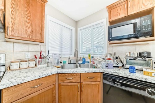 111 Tarawood Road Ne, Calgary, AB - Indoor Photo Showing Kitchen With Double Sink