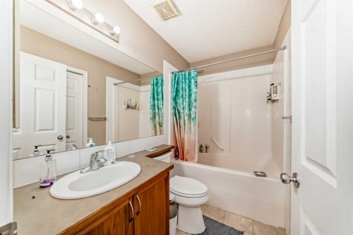 111 Tarawood Road Ne, Calgary, AB - Indoor Photo Showing Bathroom