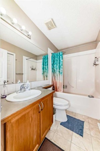 111 Tarawood Road Ne, Calgary, AB - Indoor Photo Showing Bathroom