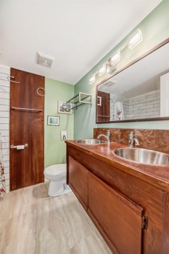 724D Raynard Crescent Se, Calgary, AB - Indoor Photo Showing Bathroom