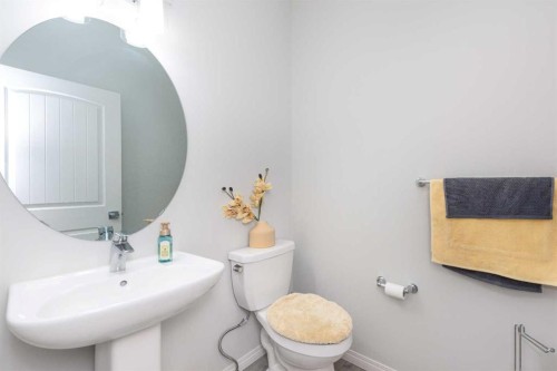 31 Cornerbrook Avenue Ne, Calgary, AB - Indoor Photo Showing Bathroom