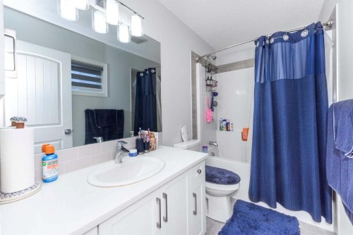 31 Cornerbrook Avenue Ne, Calgary, AB - Indoor Photo Showing Bathroom