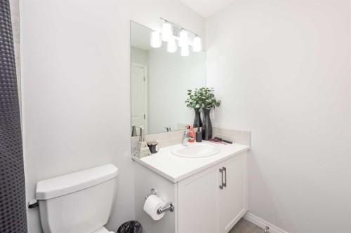 31 Cornerbrook Avenue Ne, Calgary, AB - Indoor Photo Showing Bathroom