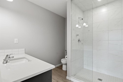 93 Cityline Square Ne, Calgary, AB - Indoor Photo Showing Bathroom