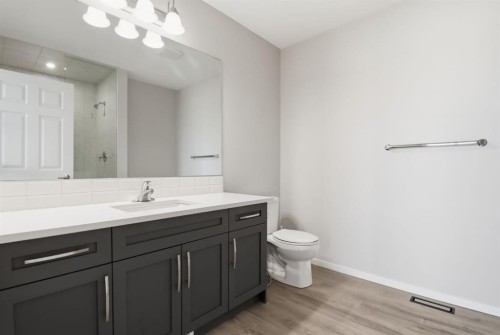 93 Cityline Square Ne, Calgary, AB - Indoor Photo Showing Bathroom