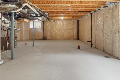 93 Cityline Square Ne, Calgary, AB - Indoor Photo Showing Basement