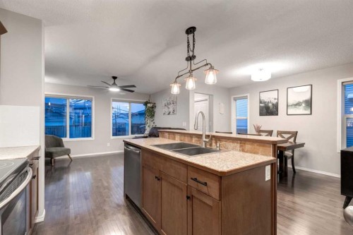 436 Cranberry Circle Se, Calgary, AB - Indoor Photo Showing Kitchen With Double Sink