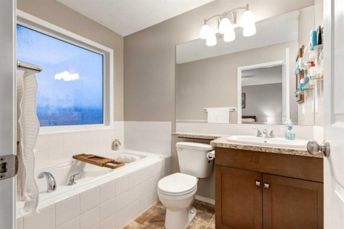 436 Cranberry Circle Se, Calgary, AB - Indoor Photo Showing Bathroom