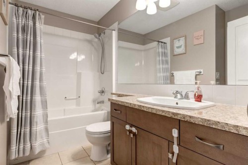 436 Cranberry Circle Se, Calgary, AB - Indoor Photo Showing Bathroom