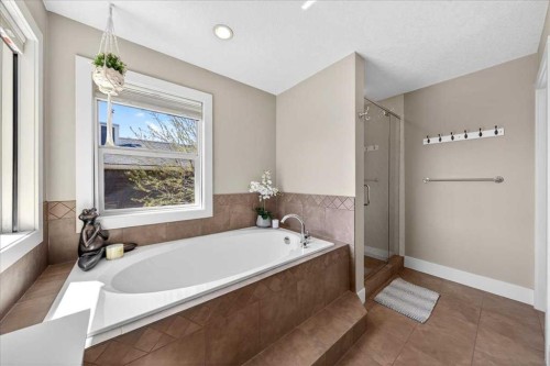 917 Channelside Road Sw, Airdrie, AB - Indoor Photo Showing Bathroom