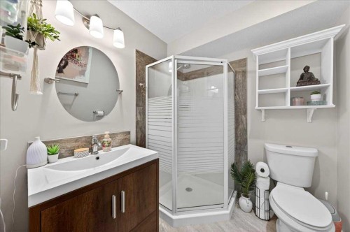 917 Channelside Road Sw, Airdrie, AB - Indoor Photo Showing Bathroom