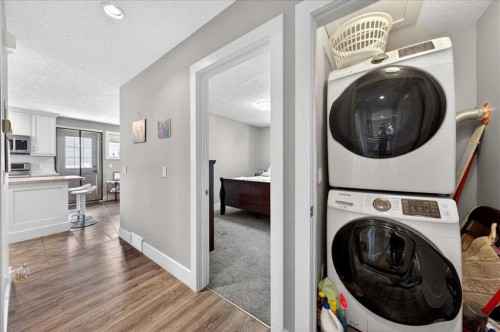 917 Channelside Road Sw, Airdrie, AB - Indoor Photo Showing Laundry Room