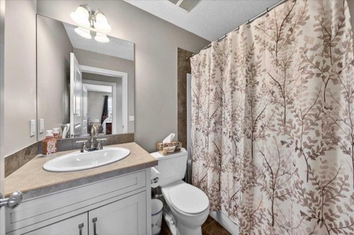 917 Channelside Road Sw, Airdrie, AB - Indoor Photo Showing Bathroom