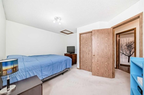 209 Somervale Point Sw, Calgary, AB - Indoor Photo Showing Bedroom