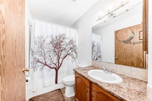 209 Somervale Point Sw, Calgary, AB - Indoor Photo Showing Bathroom