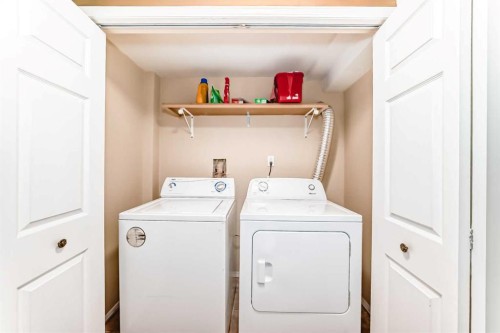209 Somervale Point Sw, Calgary, AB - Indoor Photo Showing Laundry Room