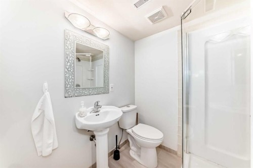 209 Somervale Point Sw, Calgary, AB - Indoor Photo Showing Bathroom