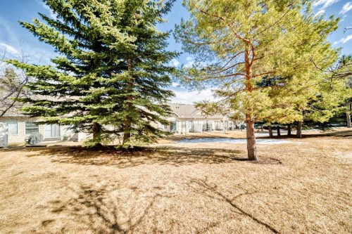 209 Somervale Point Sw, Calgary, AB - Outdoor