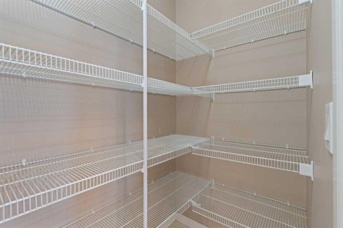 74 Skyview Point Green Ne, Calgary, AB - Indoor With Storage
