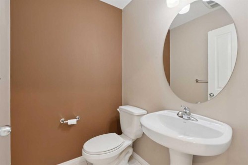 74 Skyview Point Green Ne, Calgary, AB - Indoor Photo Showing Bathroom