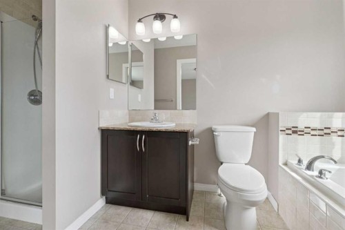 74 Skyview Point Green Ne, Calgary, AB - Indoor Photo Showing Bathroom