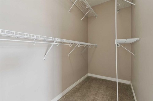 74 Skyview Point Green Ne, Calgary, AB - Indoor With Storage