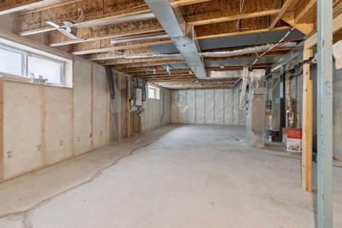 74 Skyview Point Green Ne, Calgary, AB - Indoor Photo Showing Basement