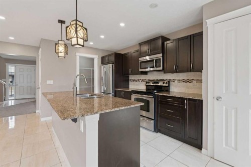 74 Skyview Point Green Ne, Calgary, AB - Indoor Photo Showing Kitchen With Stainless Steel Kitchen With Double Sink With Upgraded Kitchen