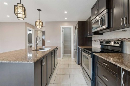 74 Skyview Point Green Ne, Calgary, AB - Indoor Photo Showing Kitchen With Stainless Steel Kitchen With Double Sink With Upgraded Kitchen
