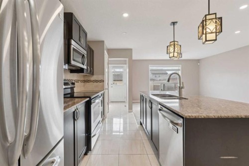 74 Skyview Point Green Ne, Calgary, AB - Indoor Photo Showing Kitchen With Stainless Steel Kitchen With Double Sink With Upgraded Kitchen