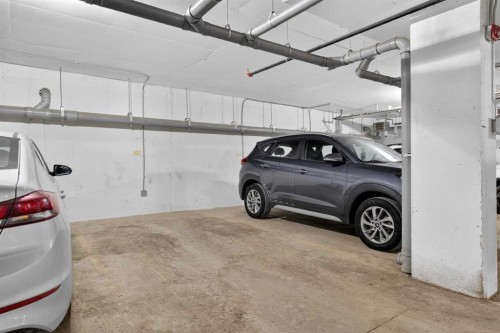 1206-33 Carringham Gate Nw, Calgary, AB - Indoor Photo Showing Garage