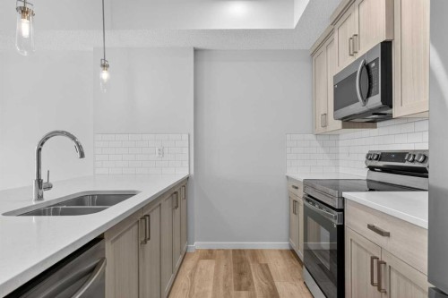 1206-33 Carringham Gate Nw, Calgary, AB - Indoor Photo Showing Kitchen With Stainless Steel Kitchen With Double Sink With Upgraded Kitchen