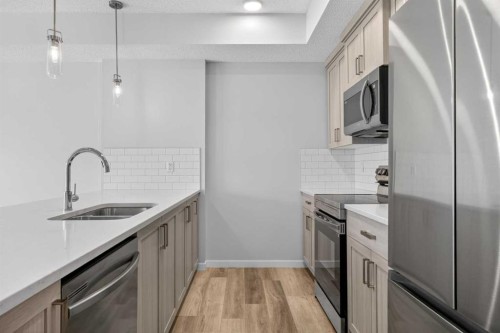 1206-33 Carringham Gate Nw, Calgary, AB - Indoor Photo Showing Kitchen With Double Sink With Upgraded Kitchen