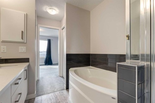 207-10 Westpark Link, Calgary, AB - Indoor Photo Showing Bathroom