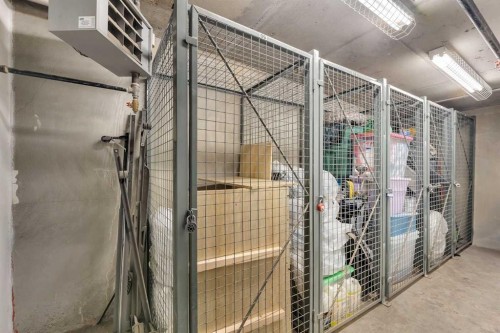 220-323 20 Avenue Sw, Calgary, AB - Indoor With Storage