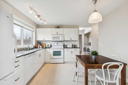 1848 38 Street Ne, Calgary, AB - Indoor Photo Showing Kitchen With Double Sink