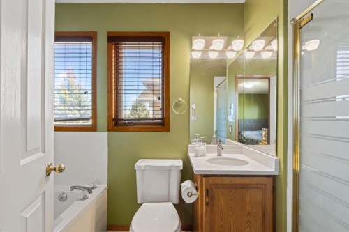 87 Applefield Close Se, Calgary, AB - Indoor Photo Showing Bathroom