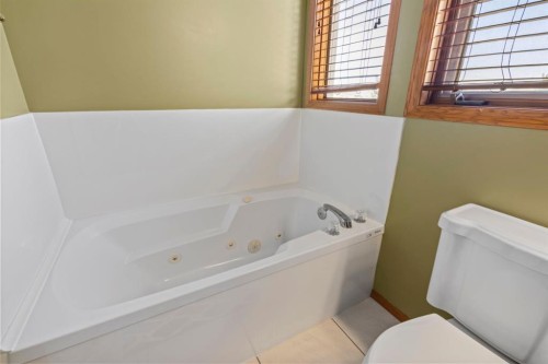 87 Applefield Close Se, Calgary, AB - Indoor Photo Showing Bathroom